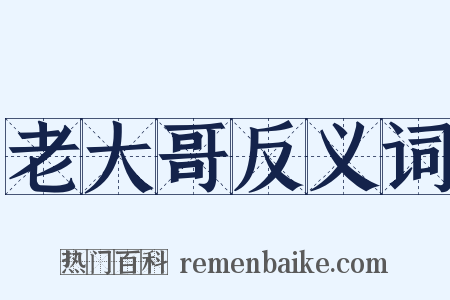 老大哥反义词是什么意思的图片